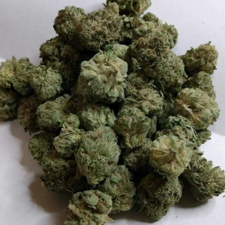 Glorious Cannabis Co. - Space Walker (I) Flower
