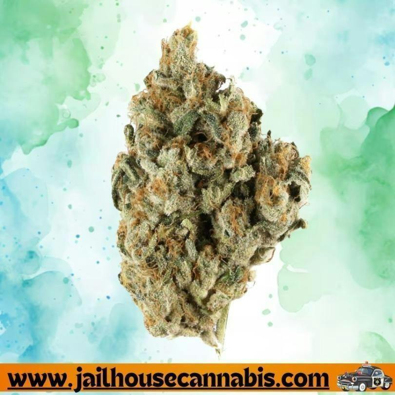 Glorious Cannabis Co. - El Chivo (IH) Flower