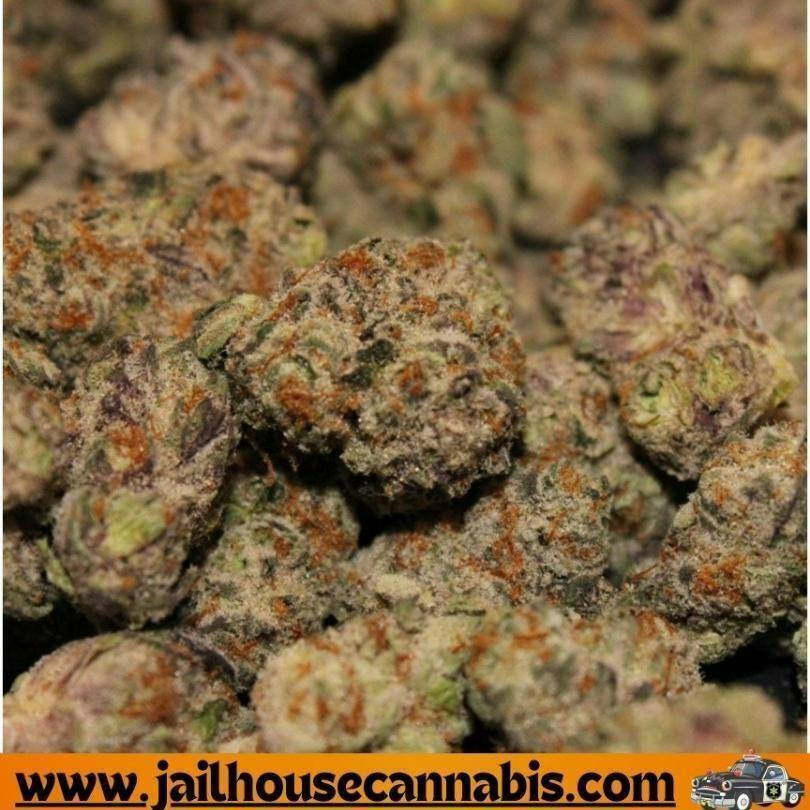Glorious Cannabis Co. - Glitter Bomb X Sweet Tea (SH) Flower