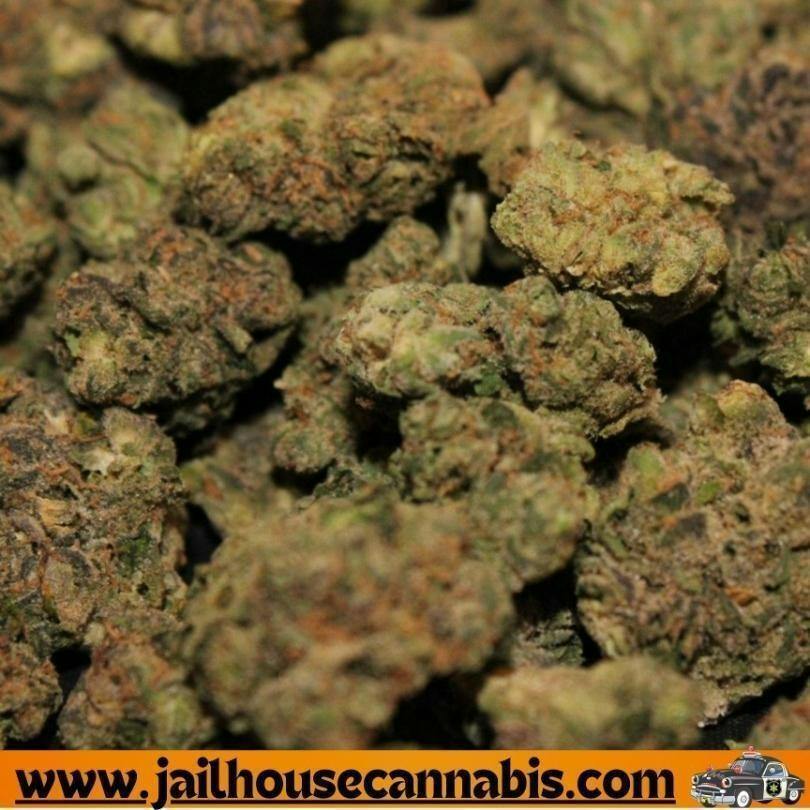 Glorious Cannabis Co. - Royal Oak (IH) Flower