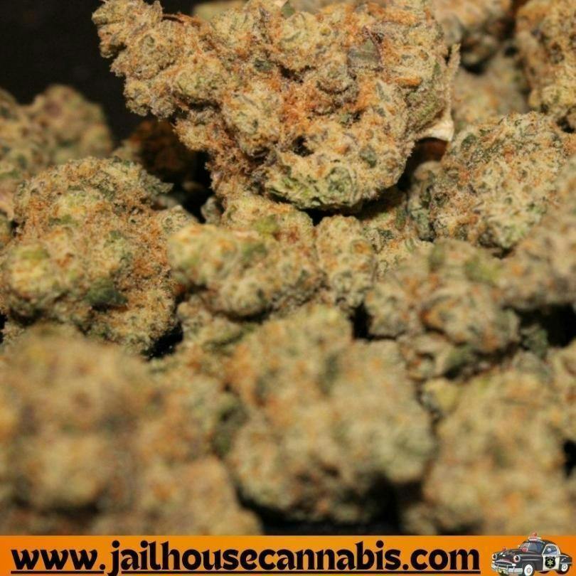 Up North OG (SH)