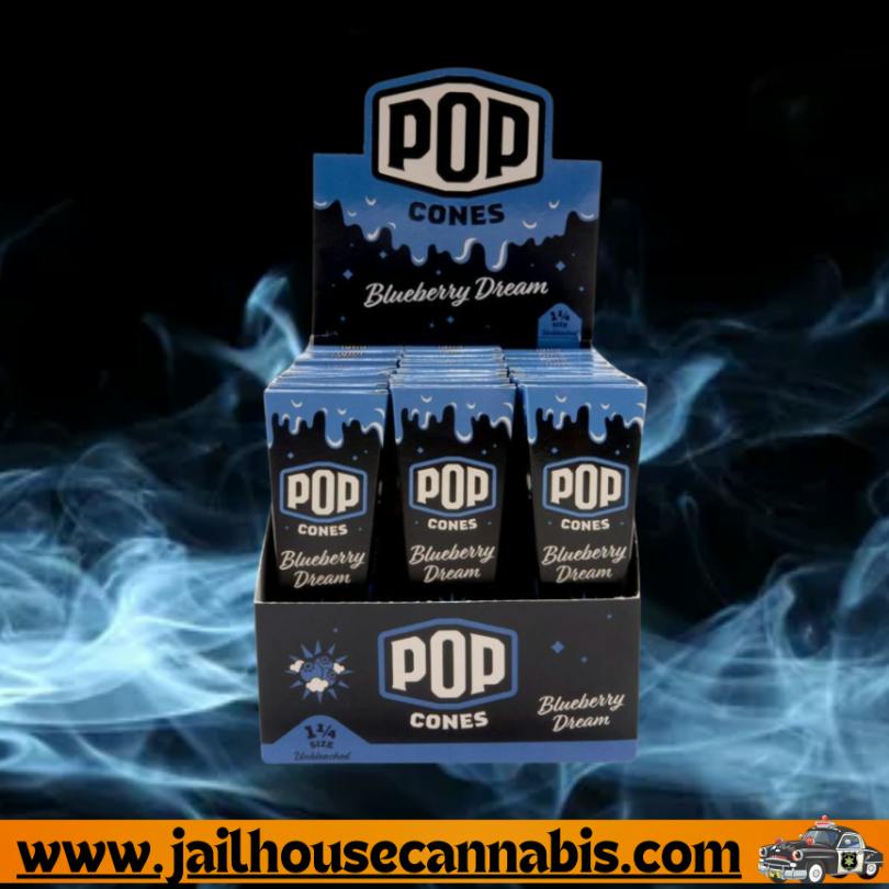 Pop Cones - Blueberry Dream 6 pack 1&1/4 (Unbleached)