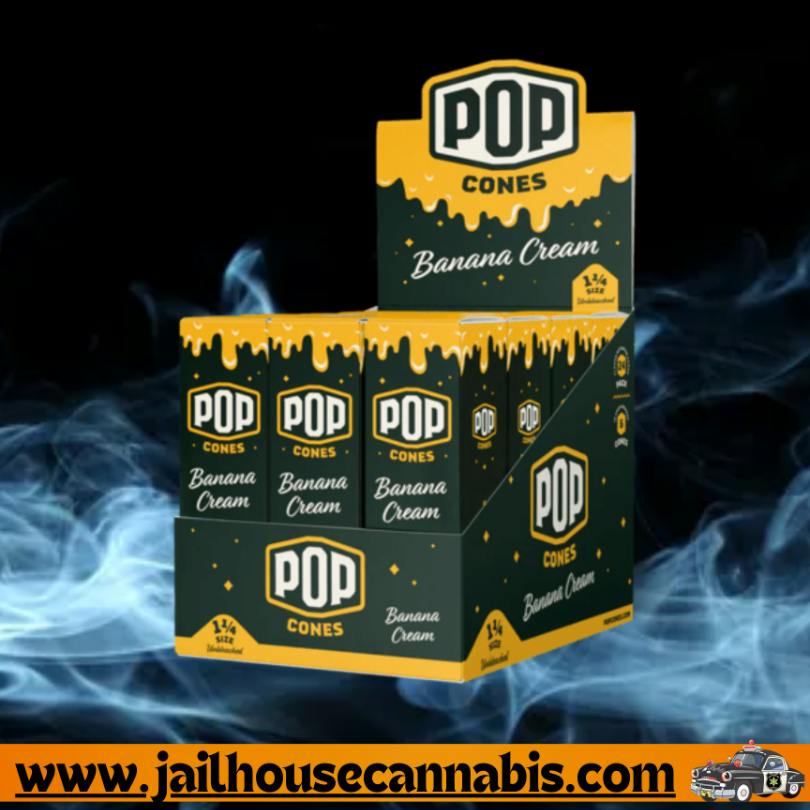 Pop Cones - Banana Cream 6 pack 1&1/4 (Unbleached)
