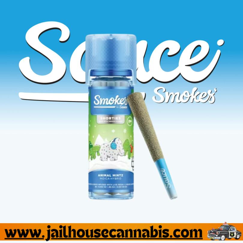 Smokes - Animal Mintz - Infused 5pk Shorties (IH)