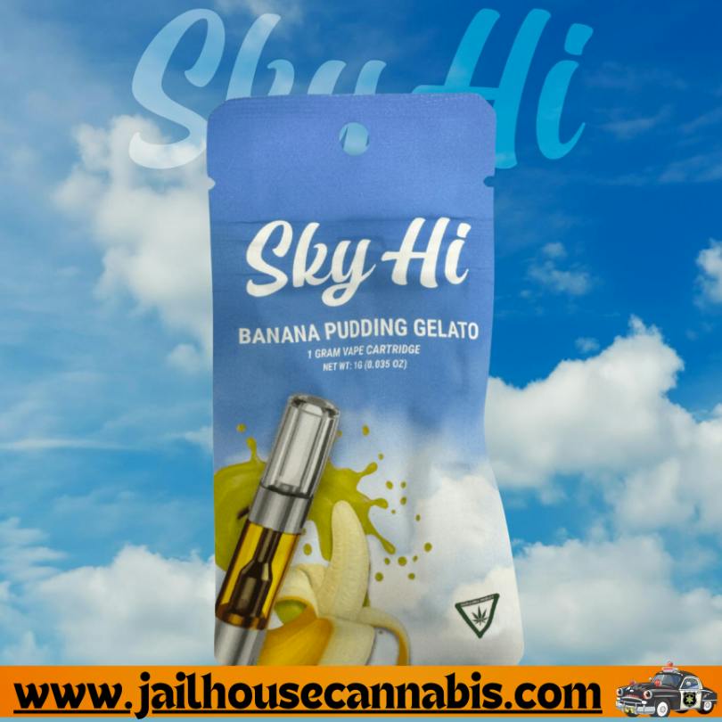 Sky Hi 510 - Banana Pudding Gelato