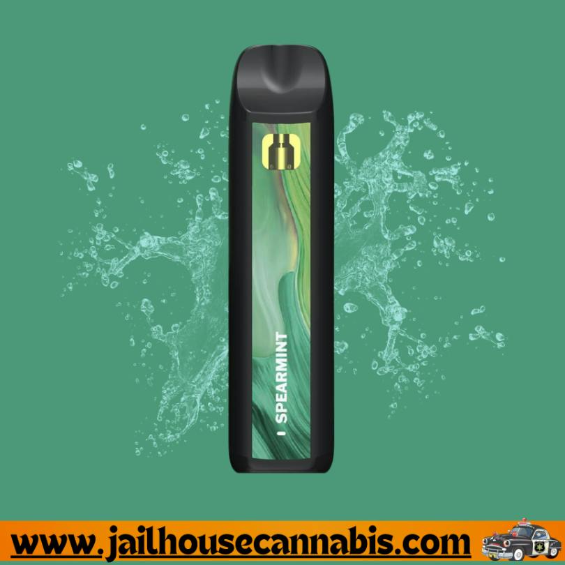 BREEZE Canna | Spearmint | Synergy PRO Disposable | 1g