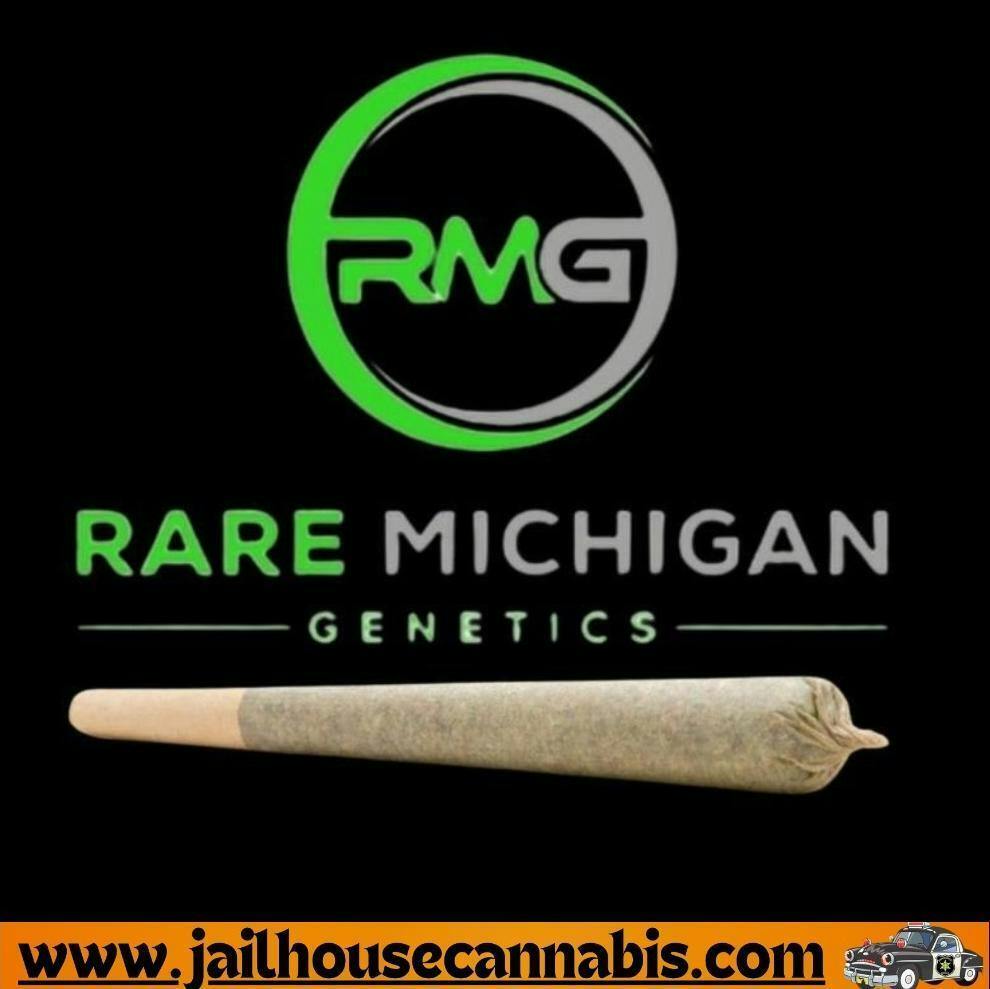 RMG 1g - Holy Cure Preroll (H)
