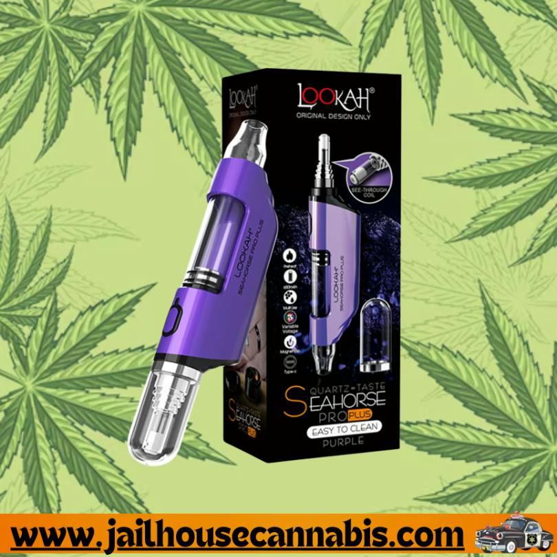 Lookah - Seahorse Pro Plus