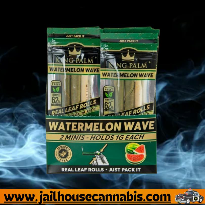 King Palm - Watermelon Wave Mini 2pk