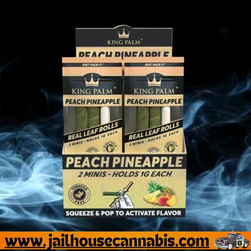 King Palm - Pumpkin Cream Mini 2pk
