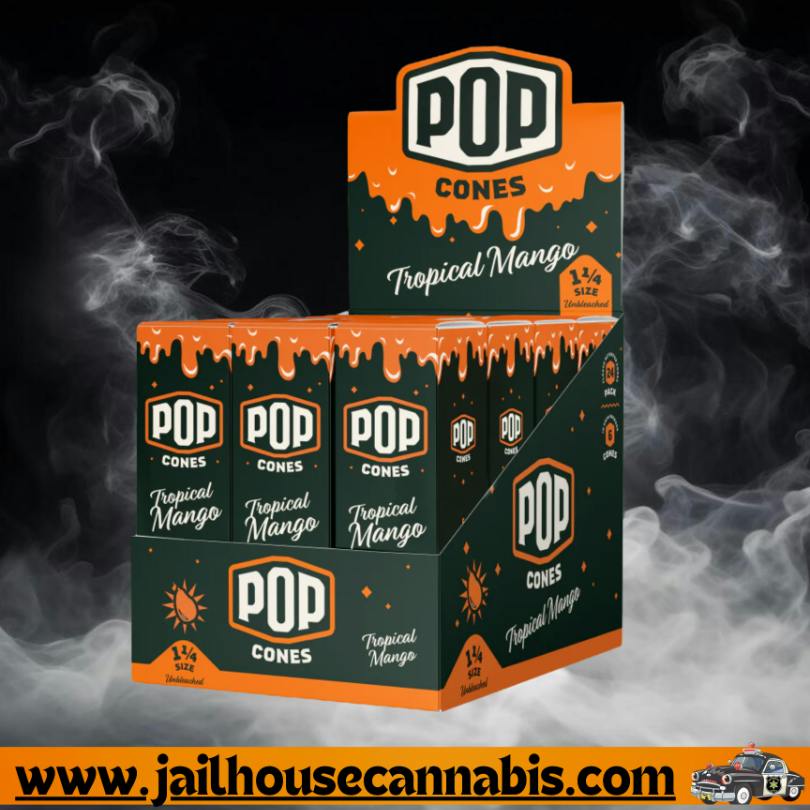 Pop Cones - Tropical Mango 6 pack 1&1/4 (Unbleached)