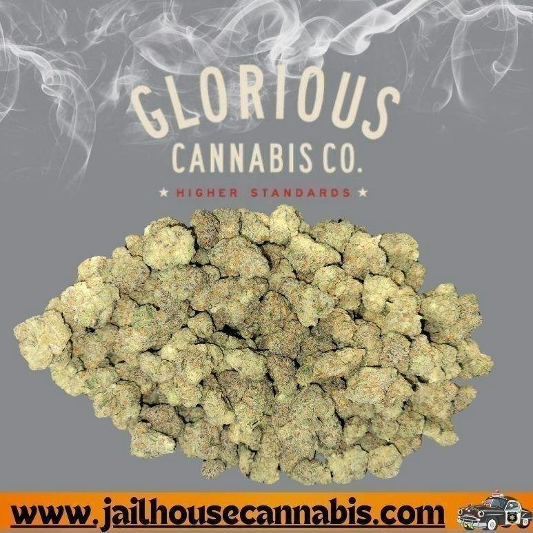 Glorious Cannabis Co. - Georgia Haze (H) Flower