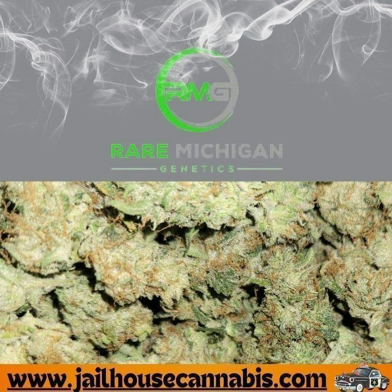 RMG - Iced Cloud Cake (I)