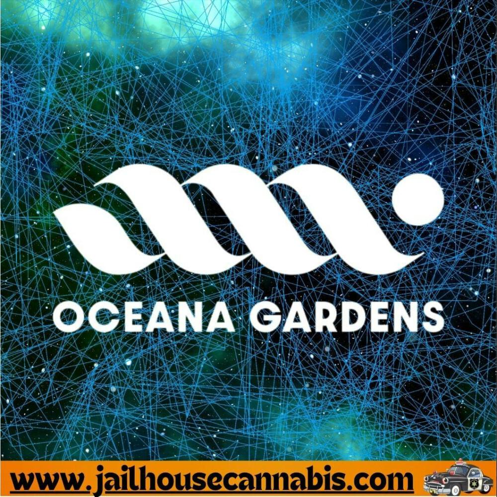 Oceana Gardens - Squirt Flower (S)