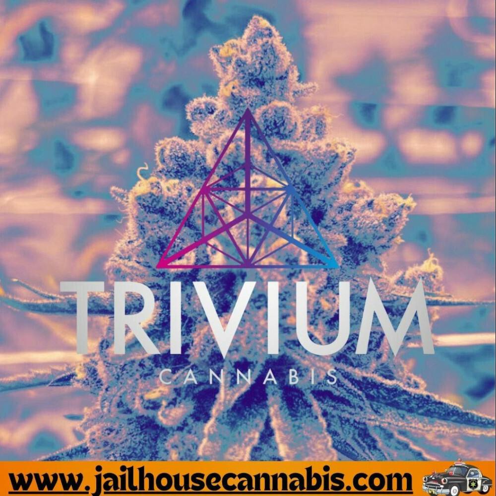 Cap Junky - Trivium Flower (IH)