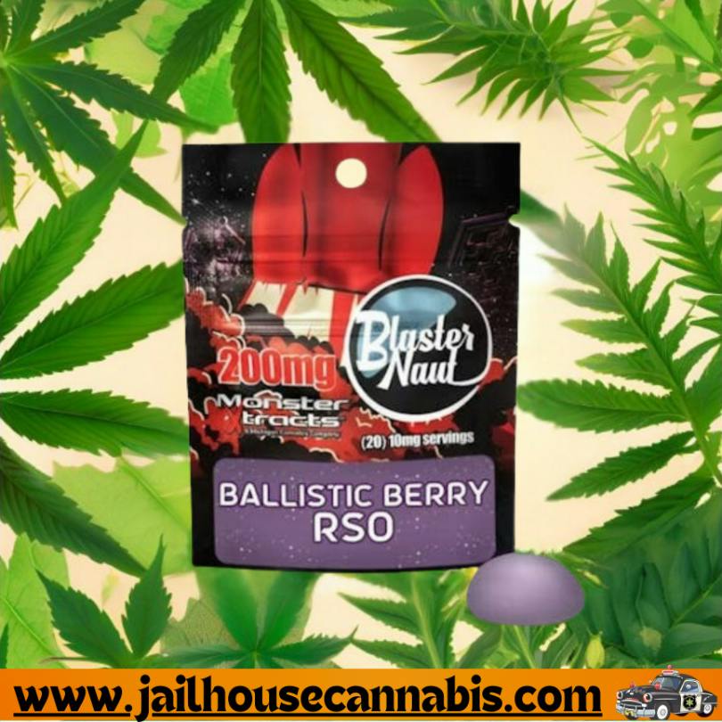 Ballistic Berry RSO - 200mg Blasternaut - MONSTER X
