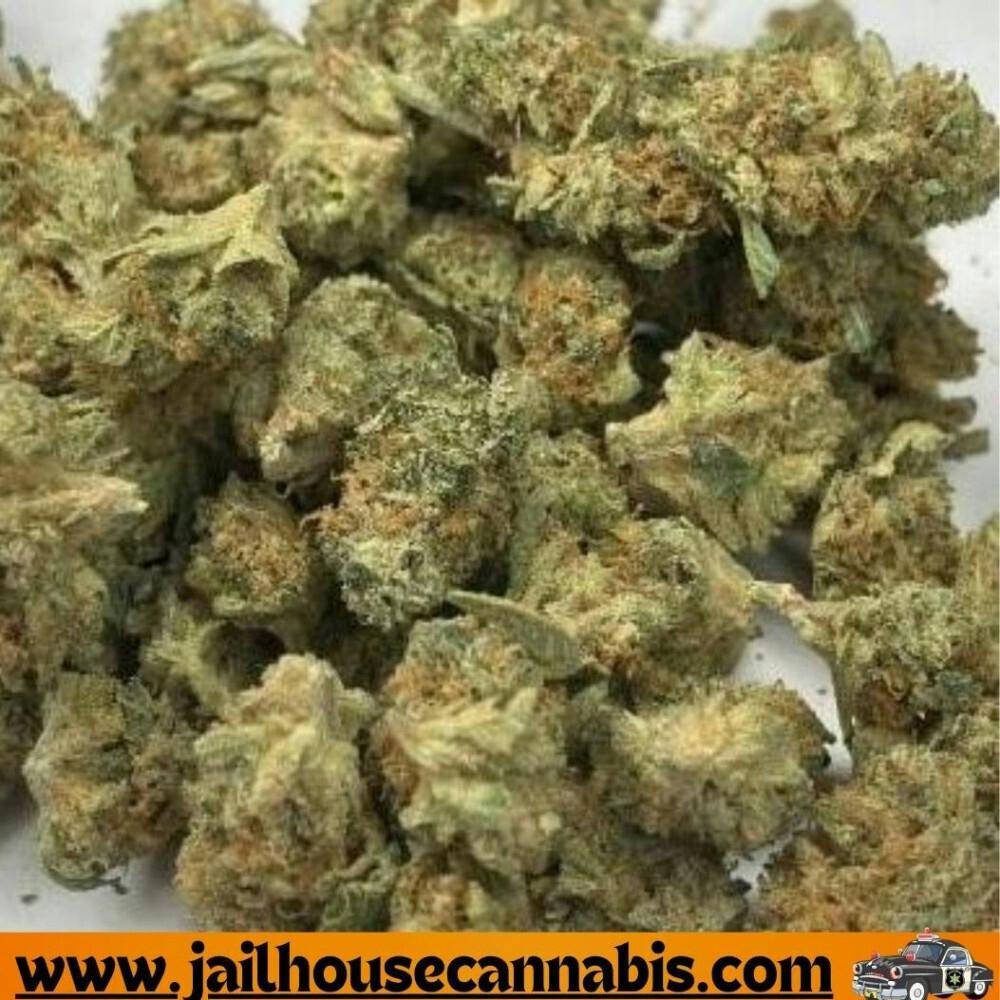 Gas Station Cultivation - Starkiller OG (IH)