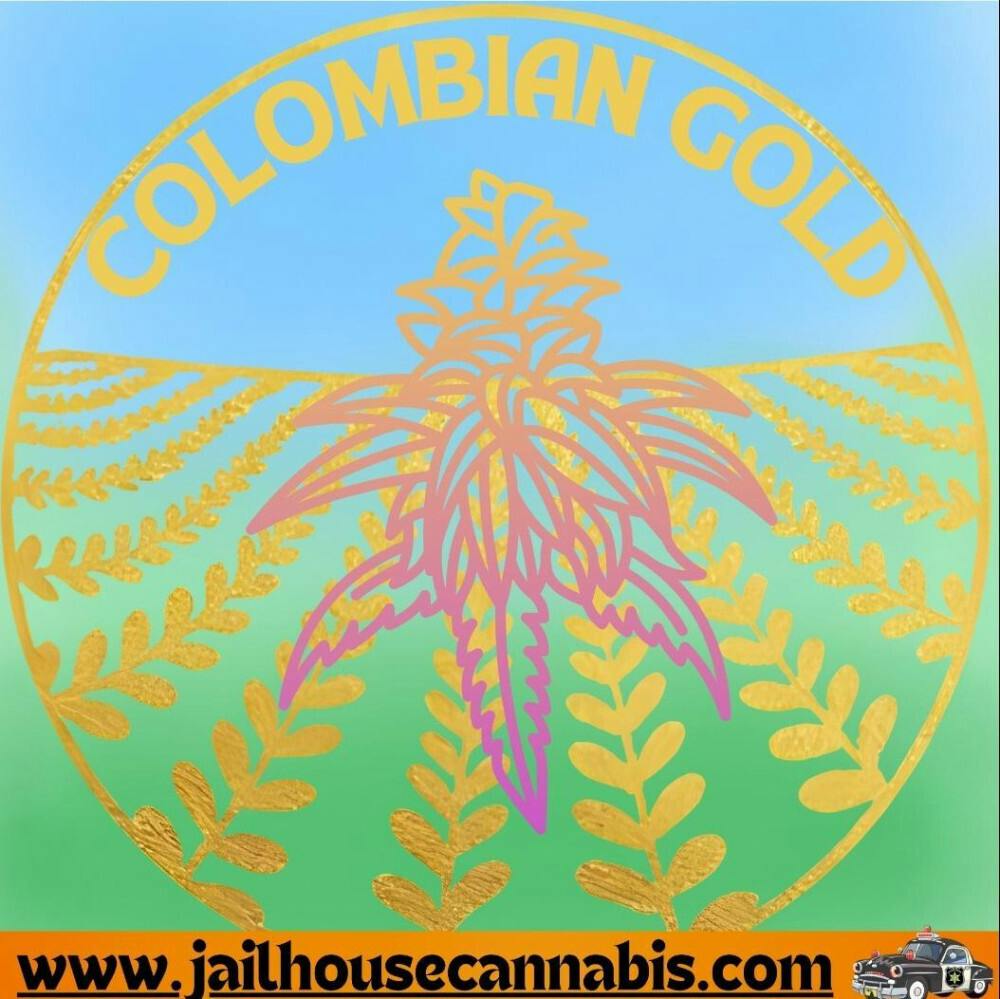 RMG - Colombian Gold (S)