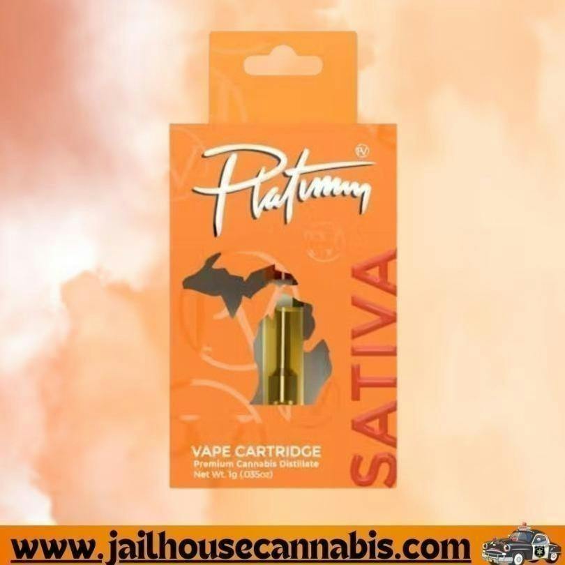Platinum Vape - 1g - Orange Push Up (S)