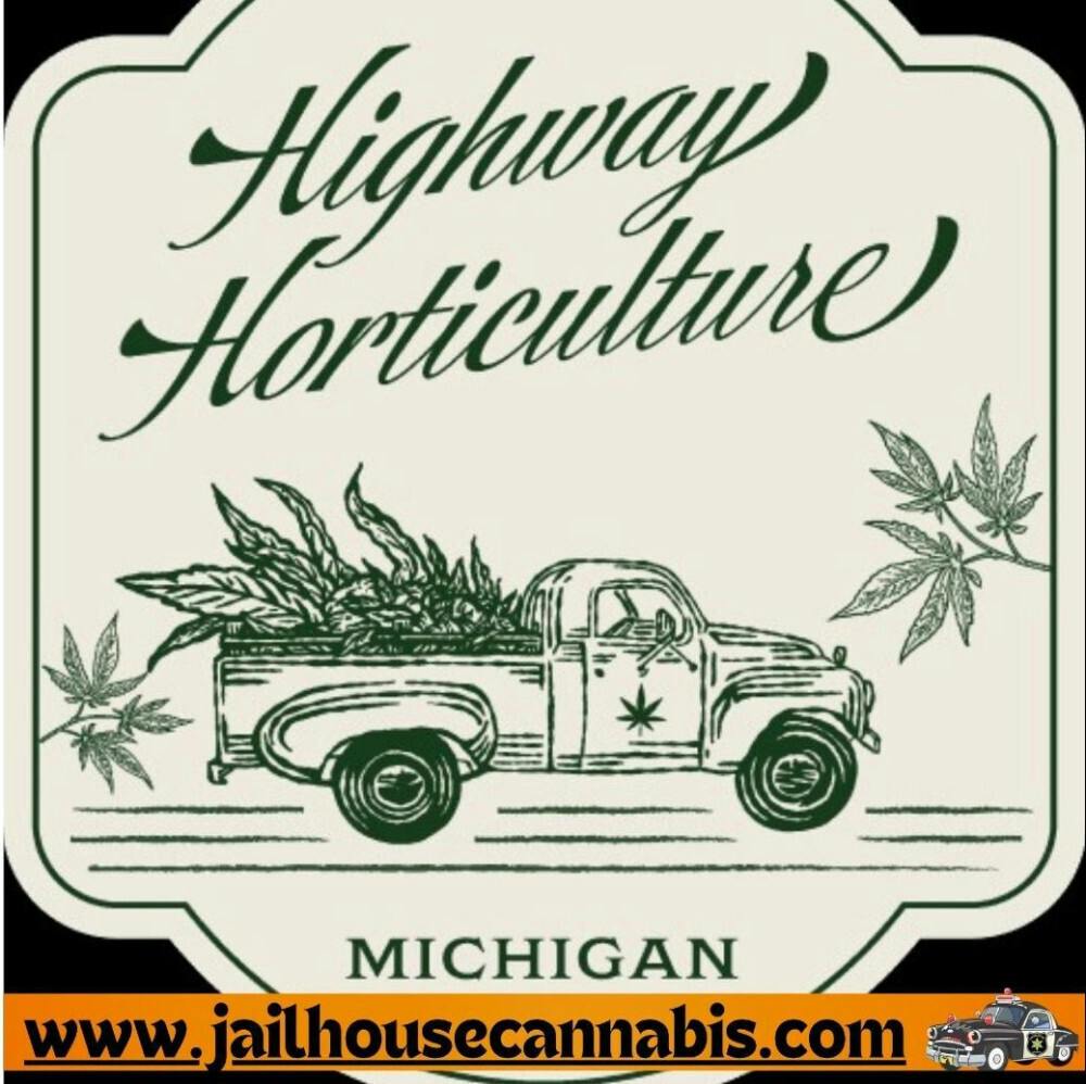 Highway Horticulture - Wedding Cake Flower (IH)