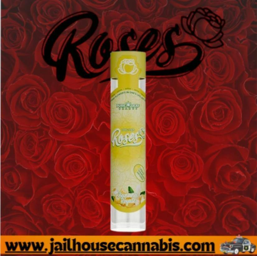 Long Stem | Banana Royale | LQD Infused Joint | 1g