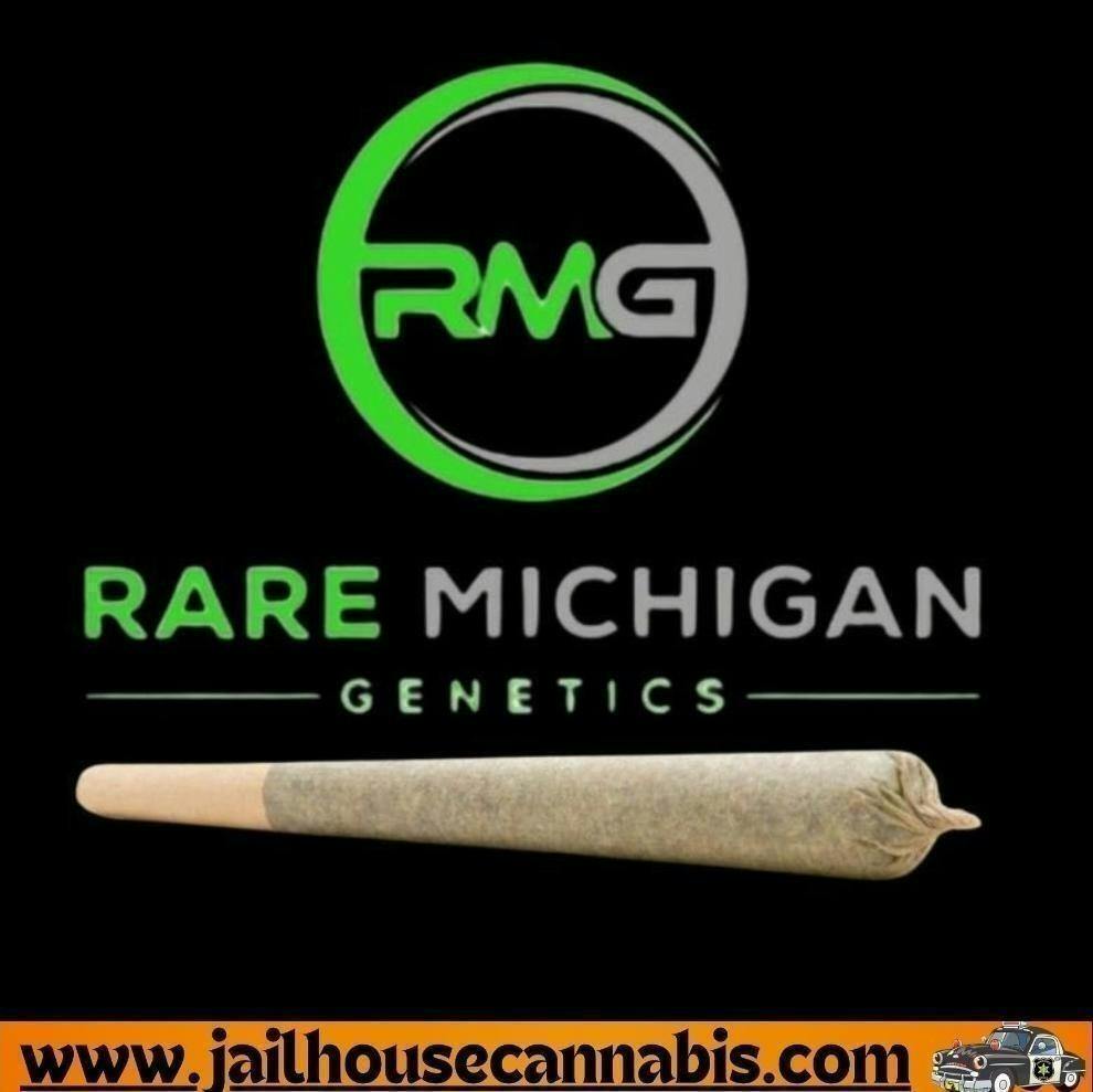 RMG 1g - Iced Cloud Cake Preroll (IH)