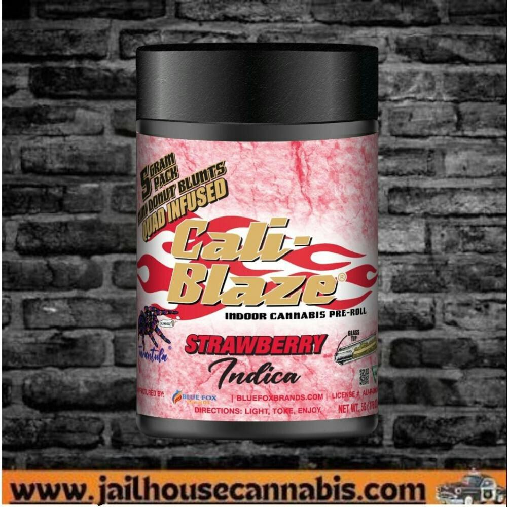 Blaze - Strawberry - 5pk Mini Blunt