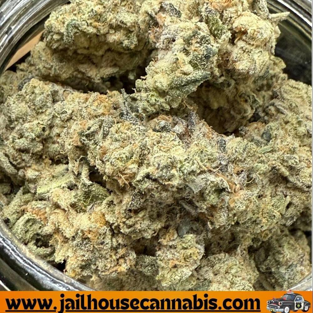 Frosted Farms - Cashmere (H)
