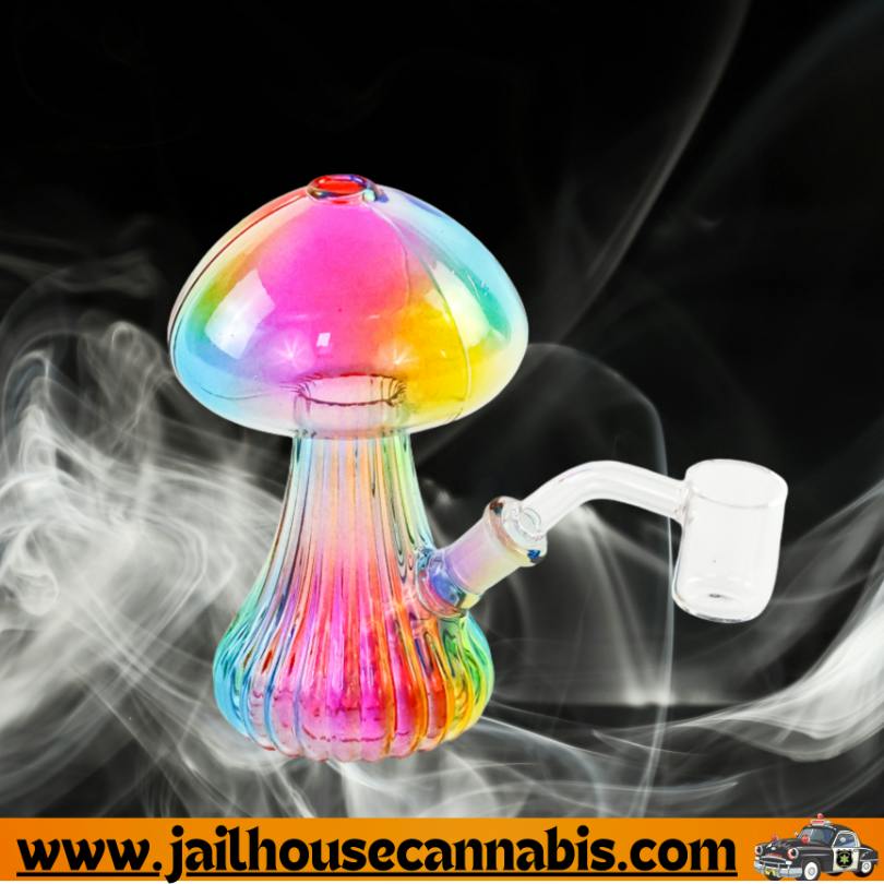 SirEEL - 5" Weeding Rainbow Dab Rig