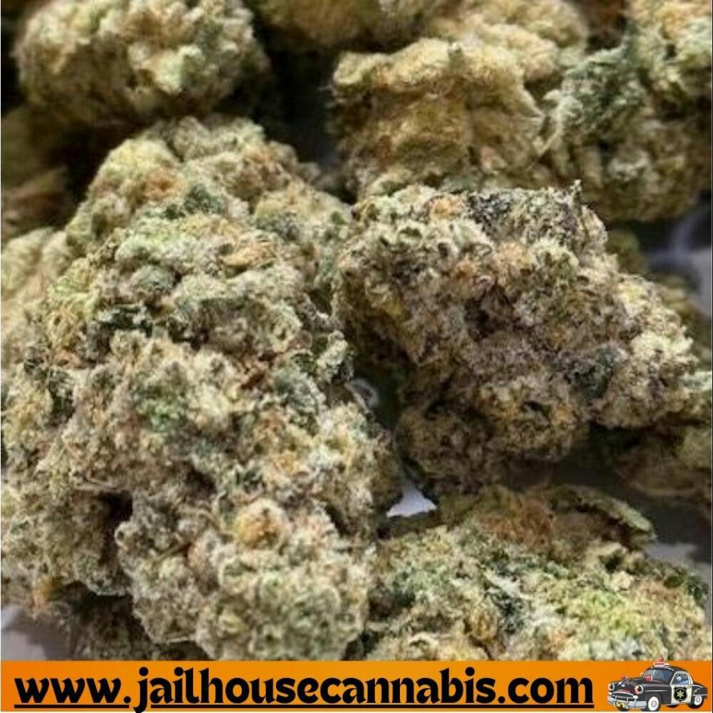 Frosted Farms - Glue Cheese Smalls (H)