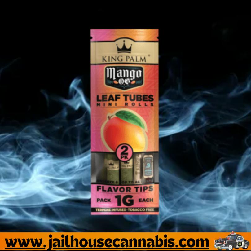 King Palm - Mango Mini 2pk