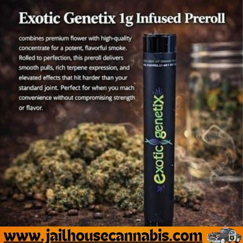 Exotic Genetix - 1G Infused PR - Gelato Mint (Hybrid)