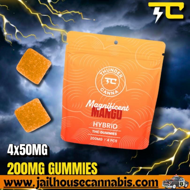 Thunder Canna - 200mg 4ct Gummies - Magnificent Mango (H)