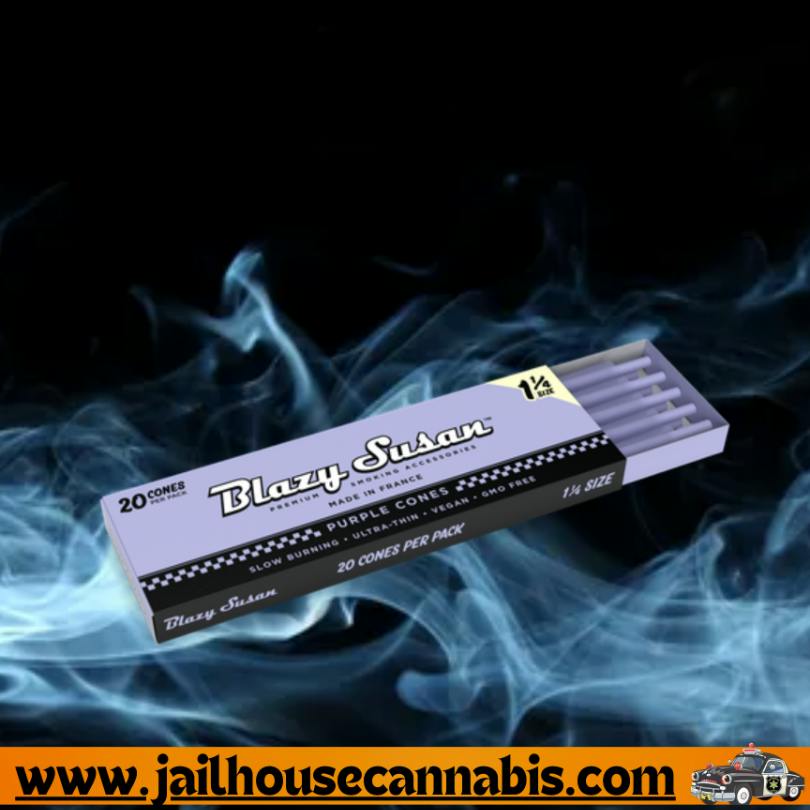 Blazy Susan Purple Cones - 1 1/4 20pack