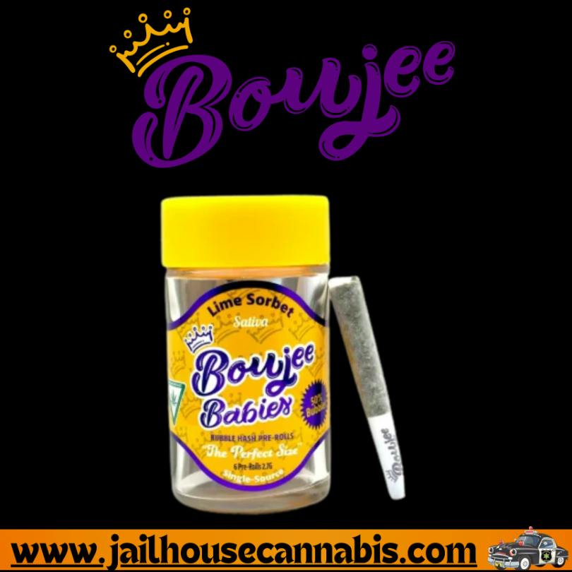 Boujee Babies - Lime Sorbet (S)