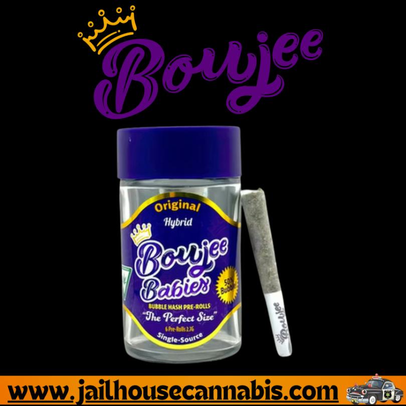Boujee Babies - Original (H)