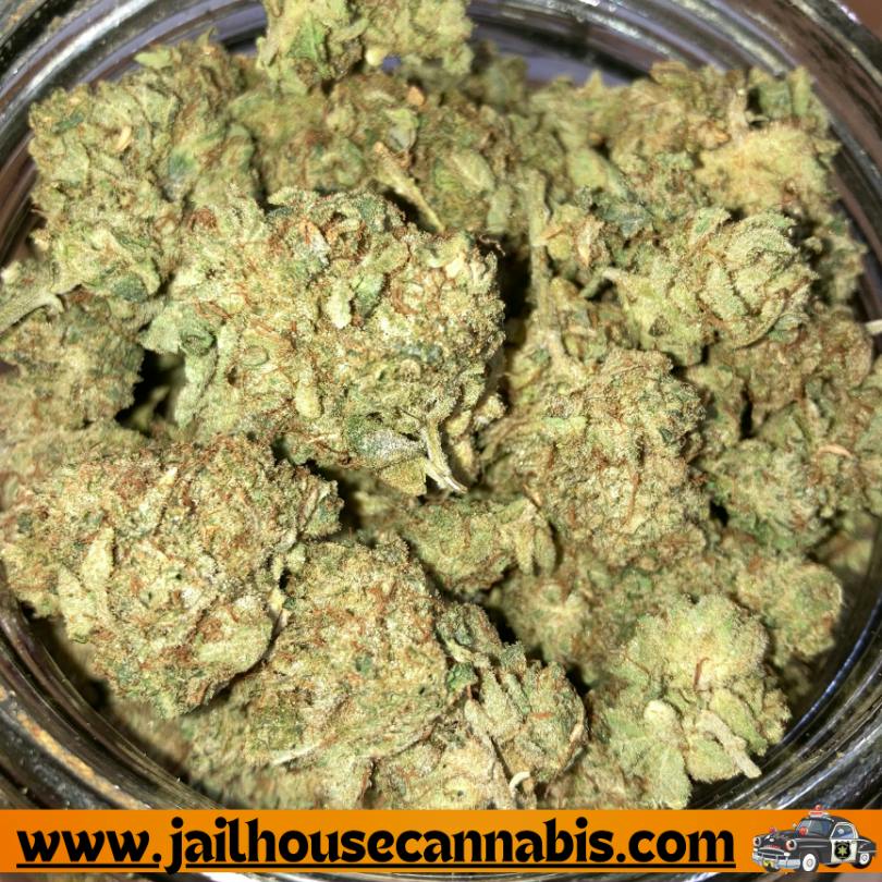 GL Hydro - GG4 (SH)