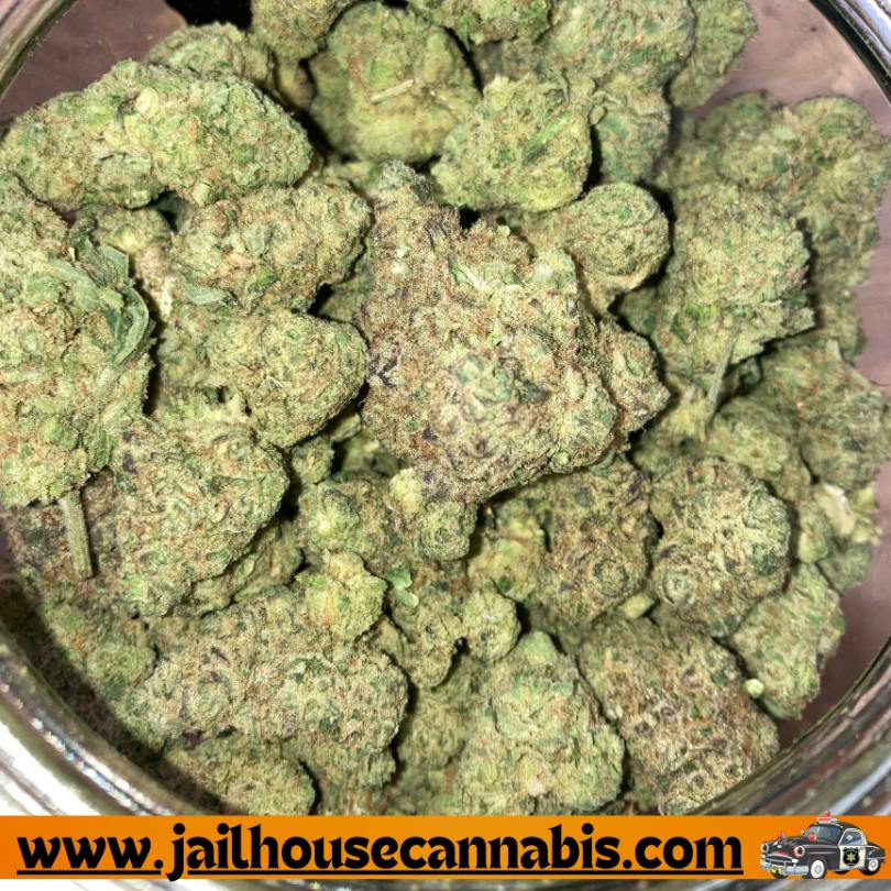 Hashburger - Highway Horticulture Flower (IH)