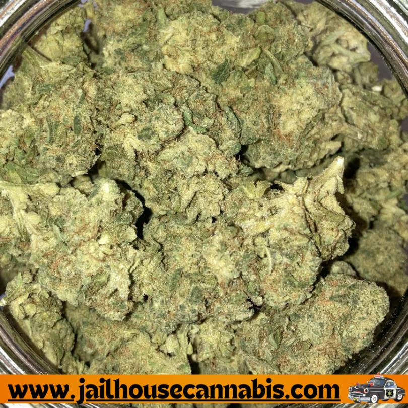 Forte Flower - Unicorn OG (SH)