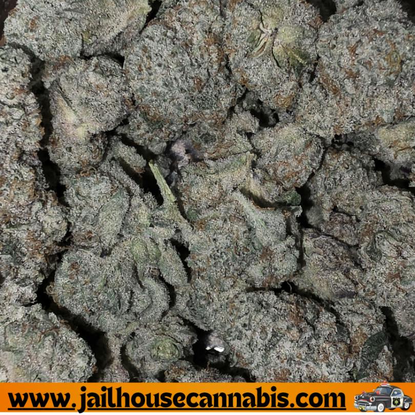 Glacier Cannabis - Black Ice Flower (IH)