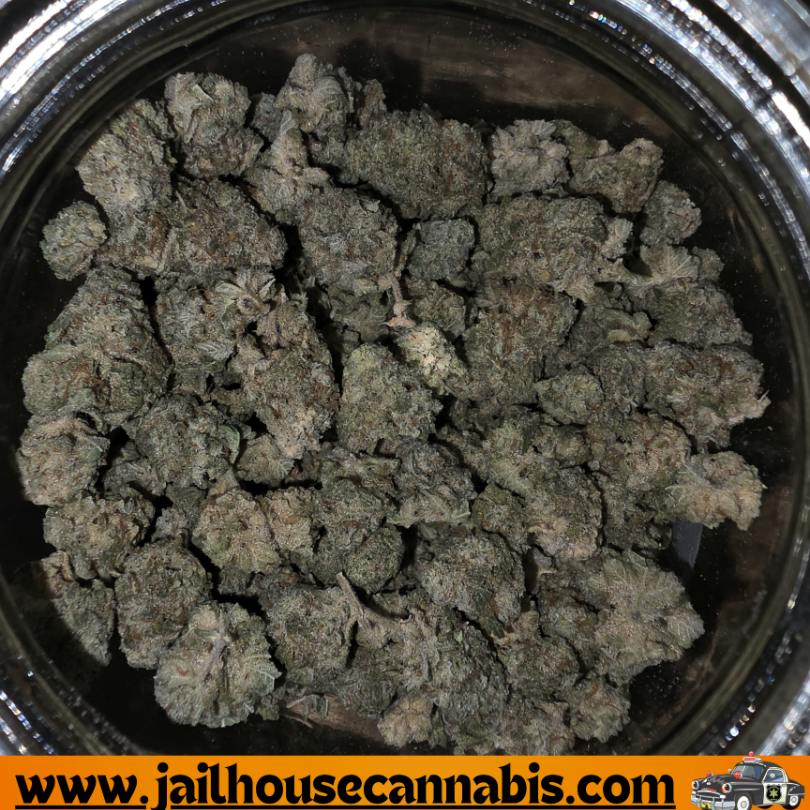 Alpha - White Widow Flower (SH)