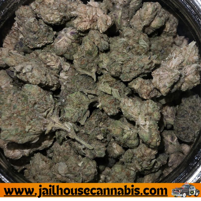 Formula 1 Flower - Myndset (SH)