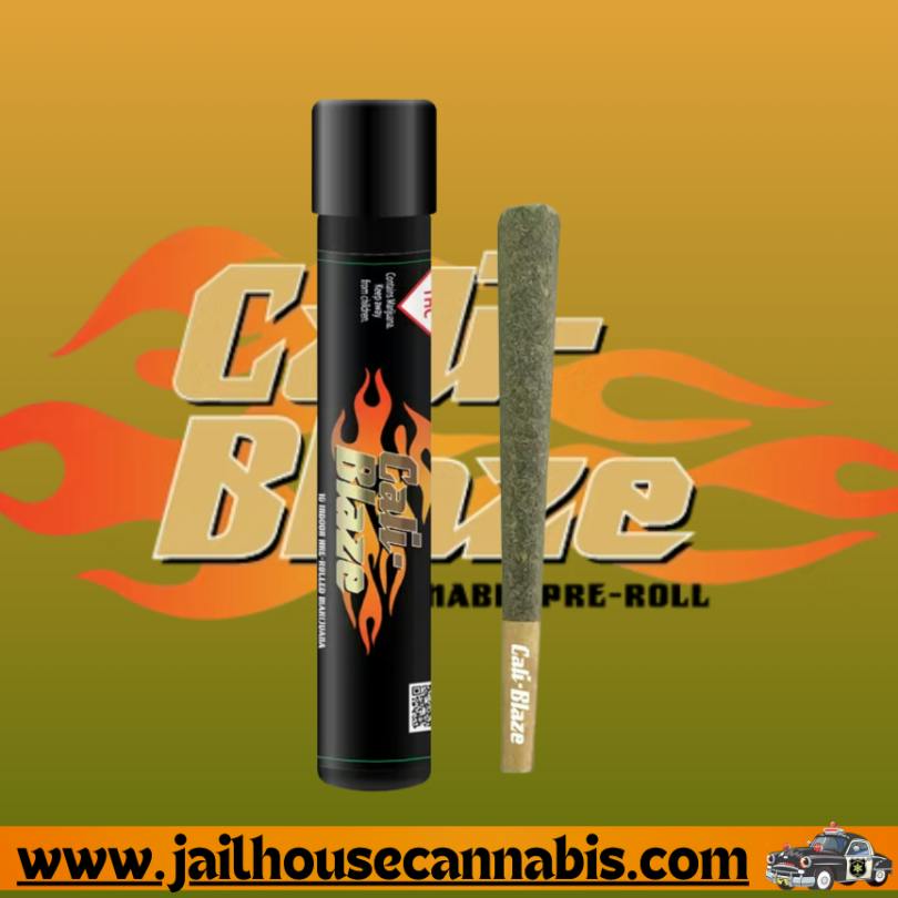 Blaze 1g Preroll - Queso Perro (H)