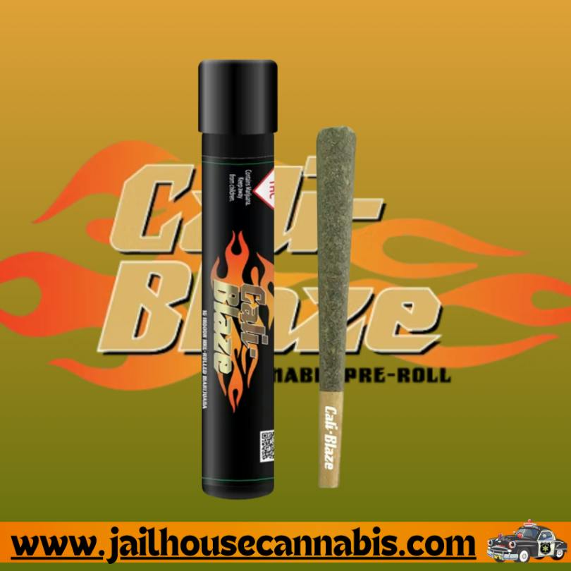 Blaze 1g Preroll - Modified Bananas
