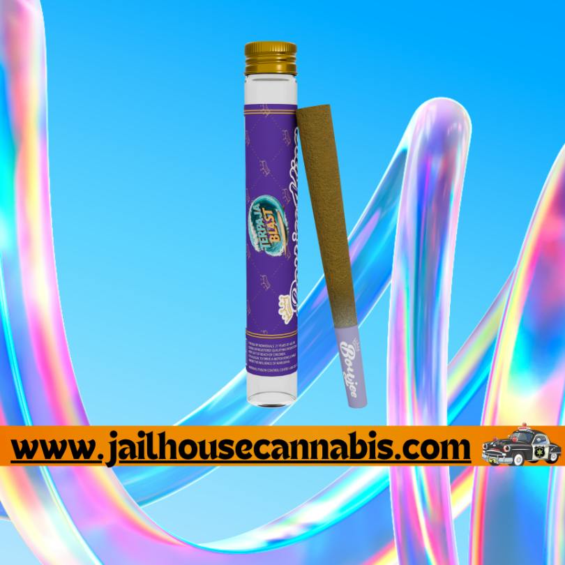 Terpaja Blast - Boujee King 1.5g Pre Roll
