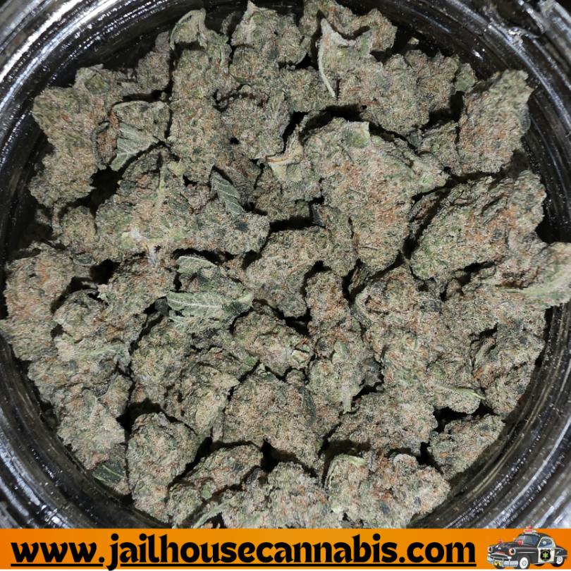 BHL - Bubble Beltz (SH)