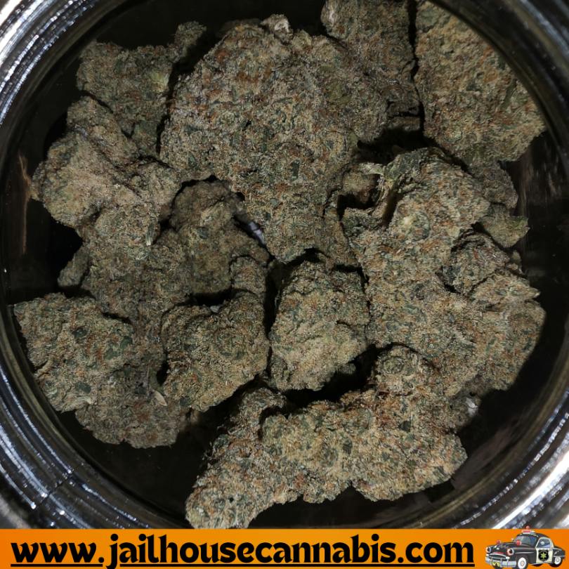 Frosted Farms - Guava Bars #5 (S)