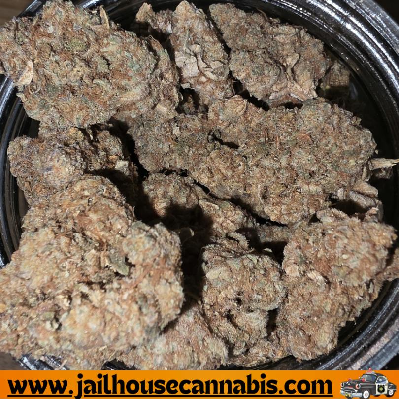 RMG - Frozen Daiquiri (H)