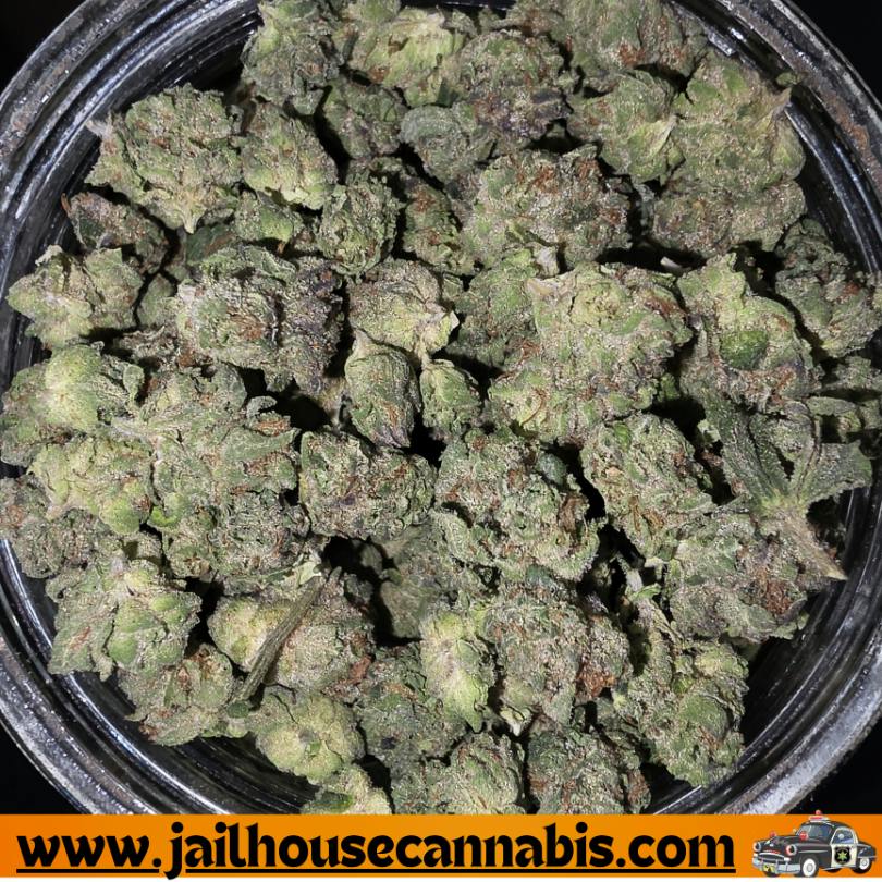 Chocolate Glazed Donutz Flower - TRU SMOKE (I)