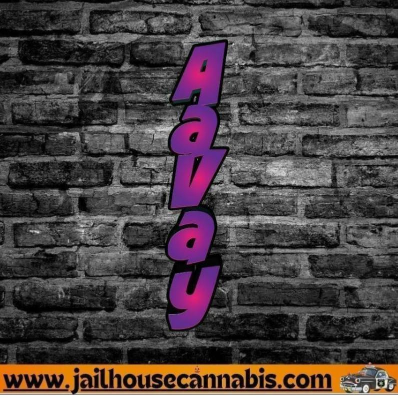 Aavay - Berry Ice (H)